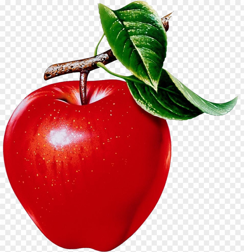 Green Mango Apple Food Fruit Health Clip Art PNG