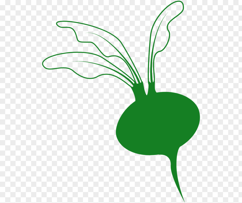 M Line Art Plant StemOrris Root Clipart Clip Leaf Black & White PNG