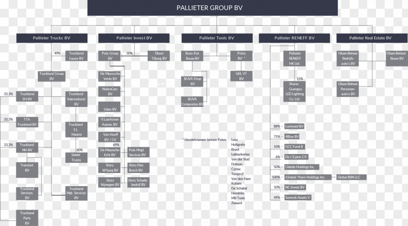 Organizational Chart Pallieter Group B.V. Holding Company Visie PNG