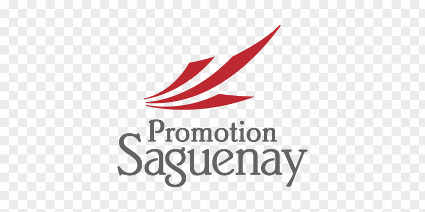 Salon Promotion Saguenay Inc Internet Organization PNG
