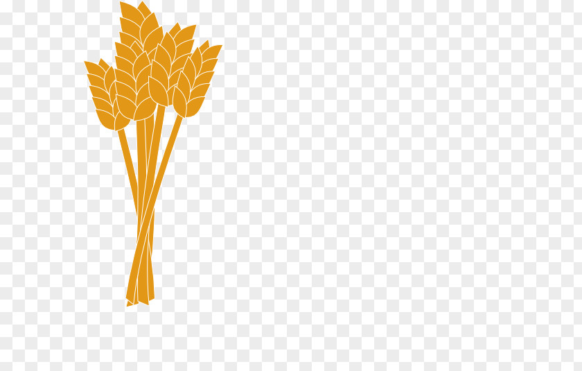 Wheat Clip Art PNG