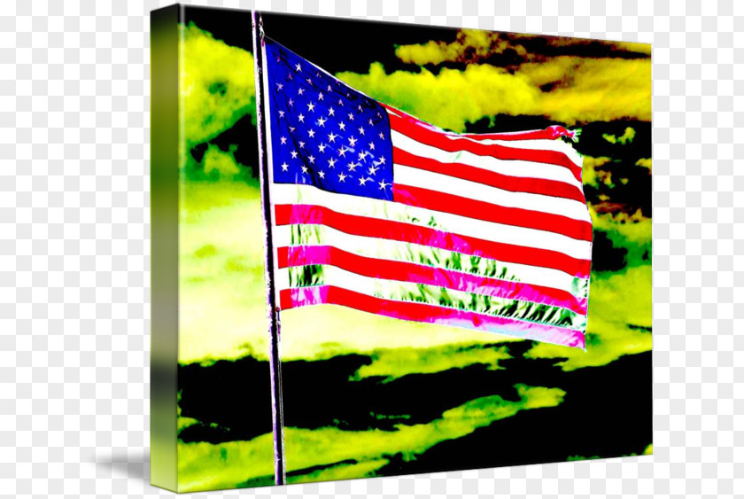 Abstract Earth Flag Of The United States Best Photography Art PNG