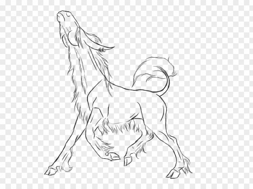 Mustang Figure Drawing Line Art Sketch PNG