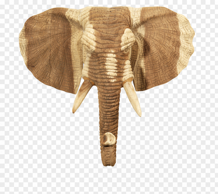 Wood Indian Elephant African Curtiss C-46 Commando Elephantidae PNG