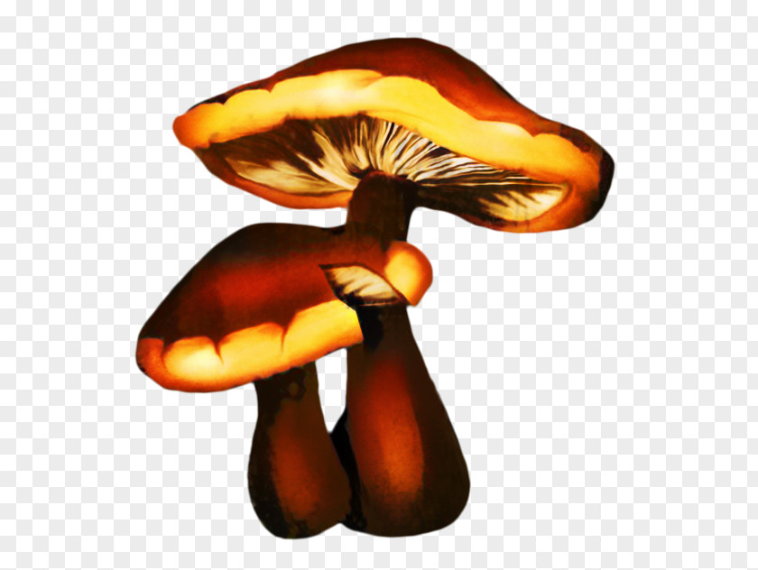 Edible Mushroom Drawing Festival Painting PNG