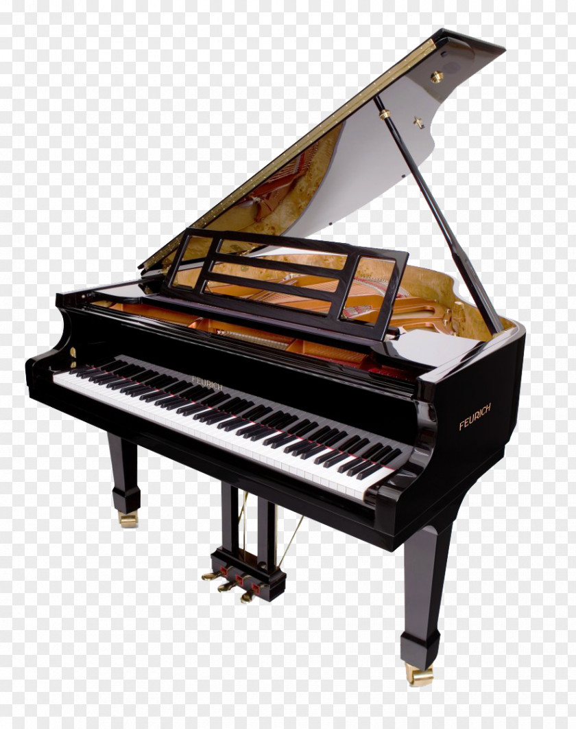 Piano Image Feurich Grand Wendl & Lung Yamaha Corporation PNG
