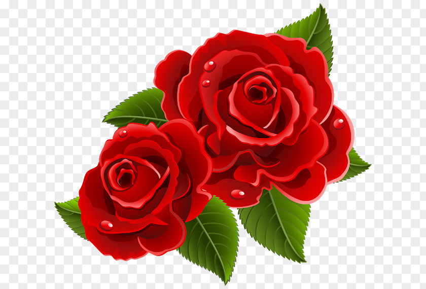 Rose Border Red Roses Garden Clip Art Image PNG