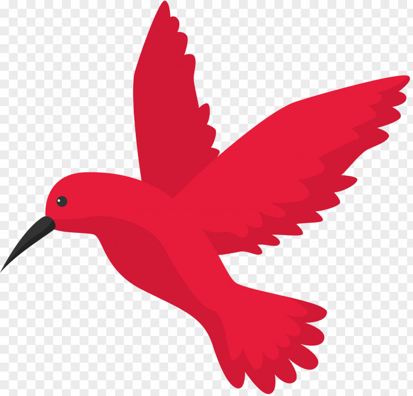 Bird Google Hummingbird Search Engine Optimization Flight PNG