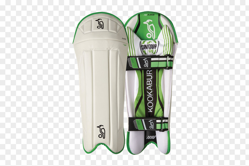 Cricket Wicket Shin Guard Wicket-keeper Pads PNG