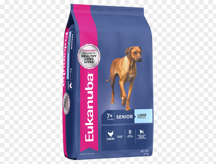 Dog Breed Food Puppy Eukanuba PNG