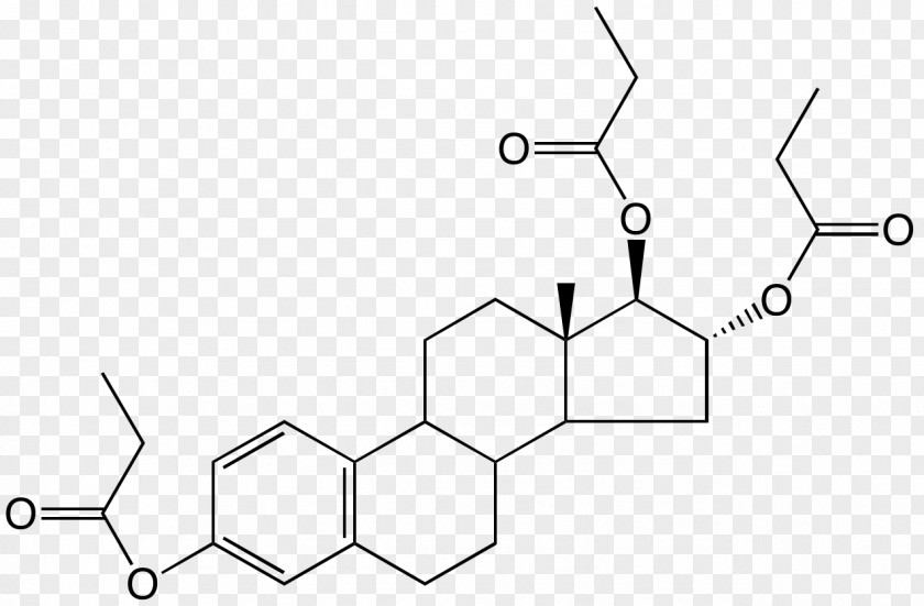 Ethinylestradiol Estrogen Estrone Dietary Supplement PNG