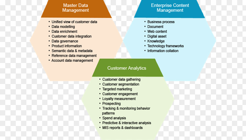 High End Business Card Service Master Data Management Quality Control PNG