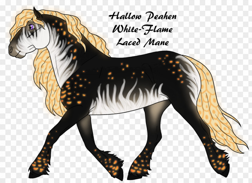 Mustang Mane Stallion Friesian Horse Foal PNG