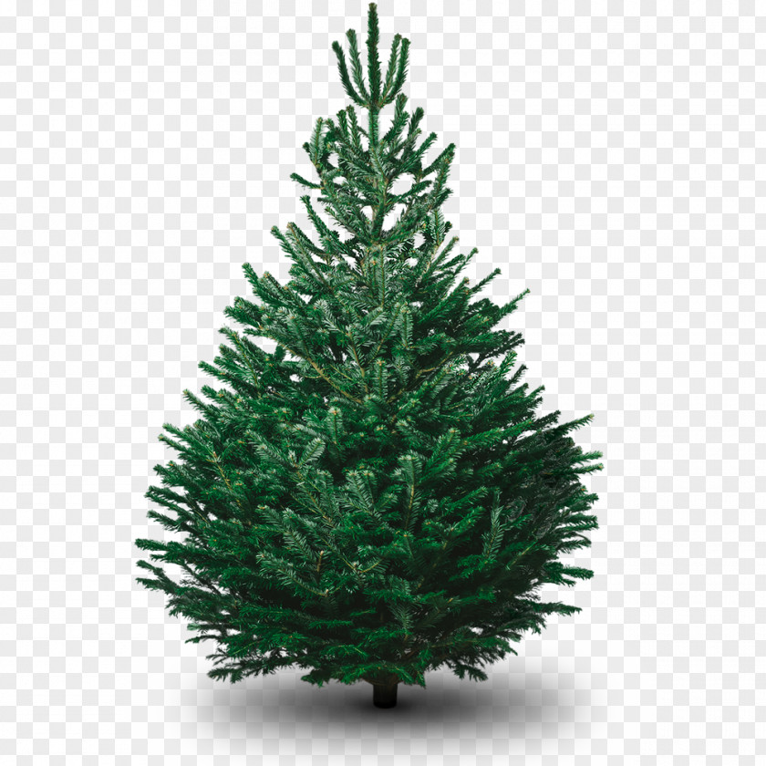 Tree Pull Down Artificial Christmas Decoration PNG