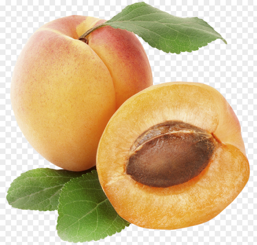 Apricot Fruit Clip Art PNG