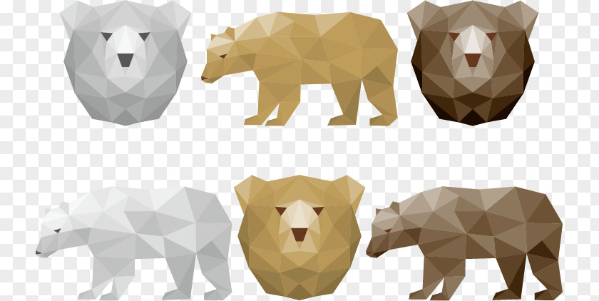 Bear Vector Geometry Polar Brown PNG