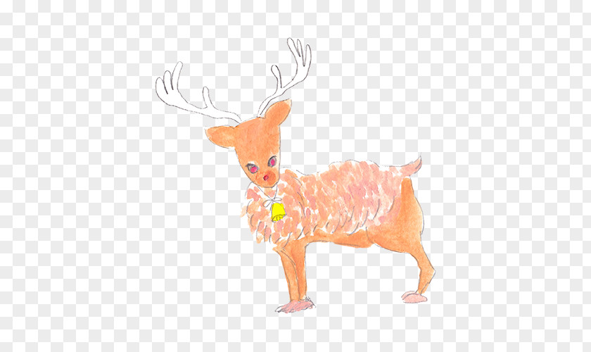 Cartoon Antelope Reindeer Illustration PNG