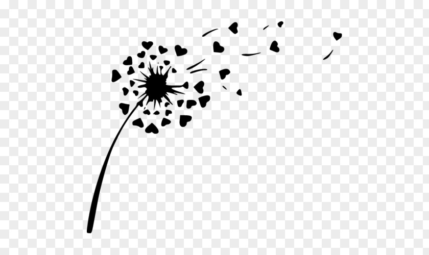 Common Dandelion Drawing Silhouette PNG