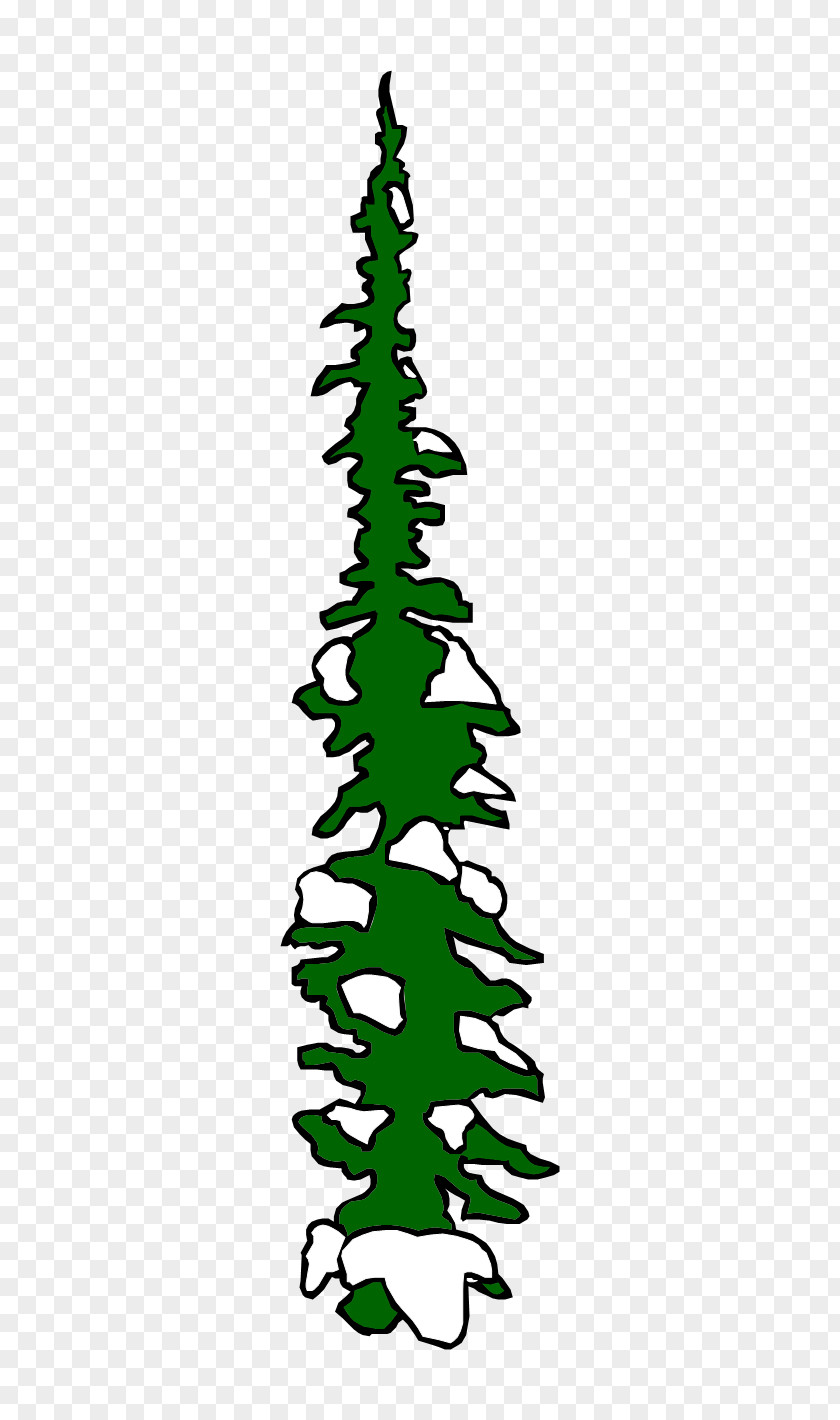 European Wind Green Christmas Tree Spruce Fir Pine Ornament PNG