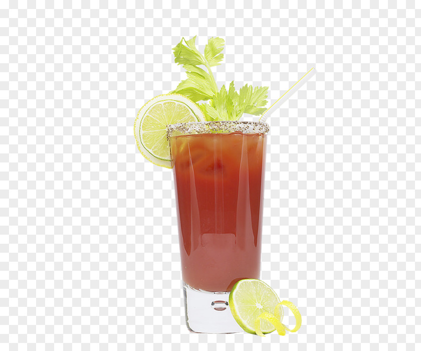 Juice Fasting Long Island Iced Tea Cocktail Bay Breeze PNG