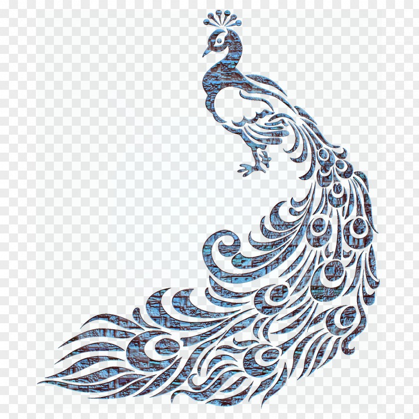 Pretty Peafowl Feather Clip Art PNG