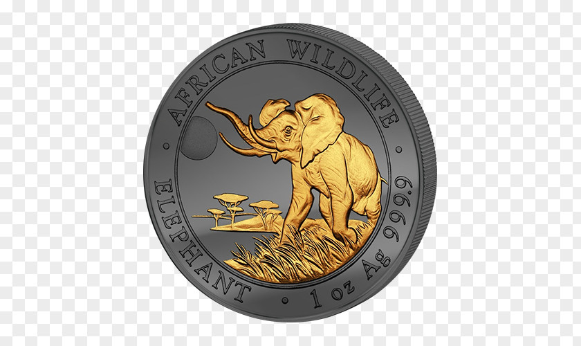 Coin Silver Africa Proof Coinage PNG