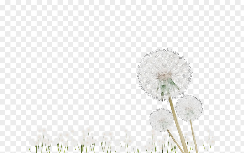 Dandelion Computer Meter Petal M PNG