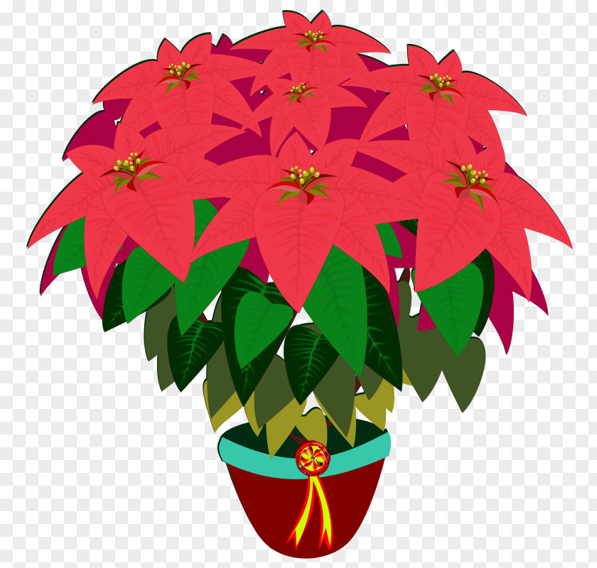 Flower Clip Art Poinsettia Image PNG