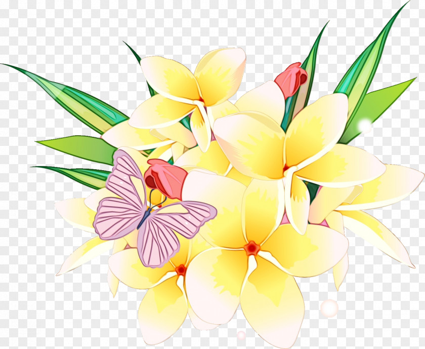 Frangipani Flower Petal Plant Anthurium PNG