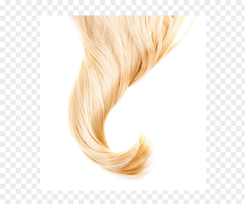 Hair Stock Photography Scalp Blond PNG