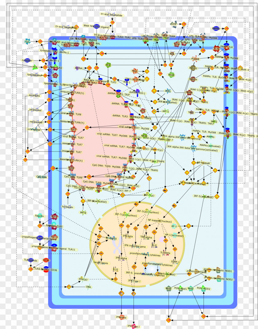 Line Point Map Tuberculosis PNG