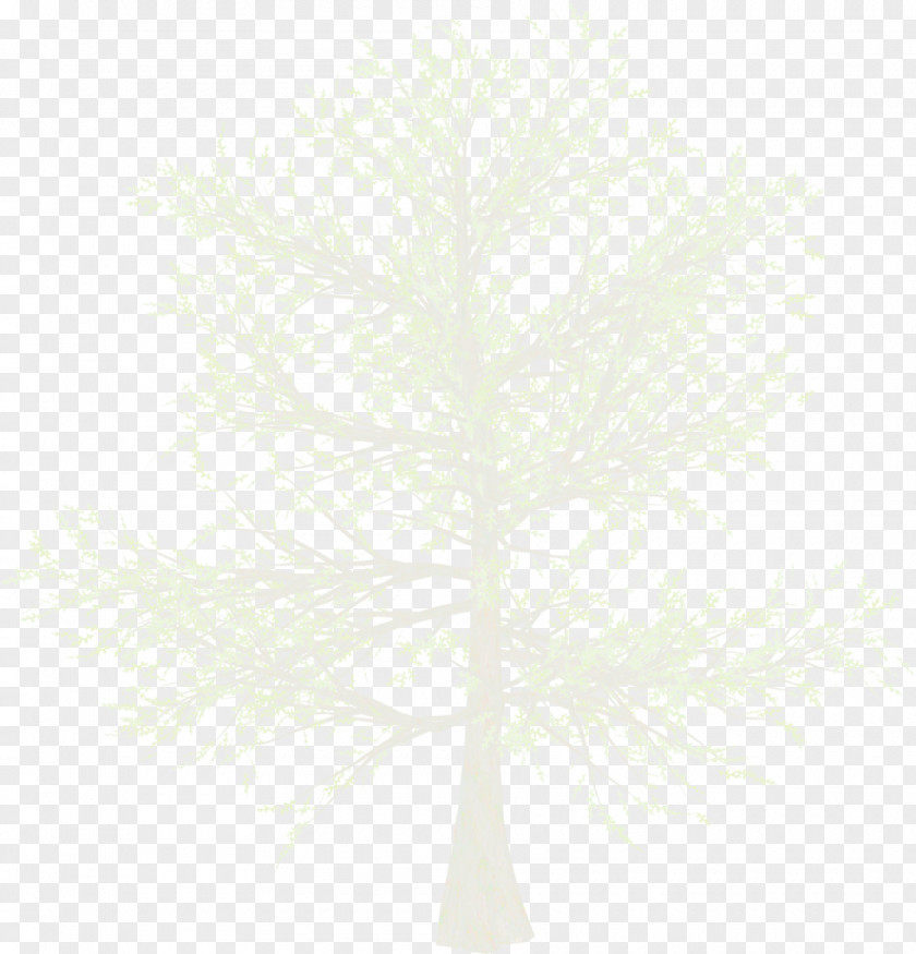 Snow White Display Resolution Tree PNG