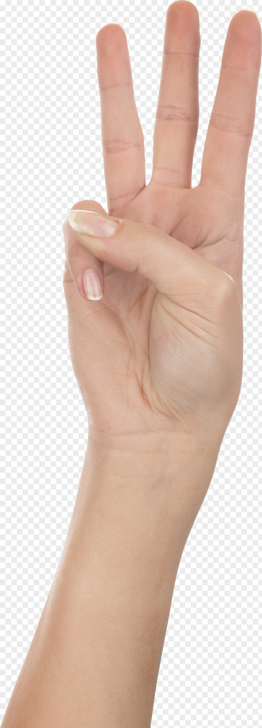 Three Finger Hand, Hands , Hand Image Free PNG