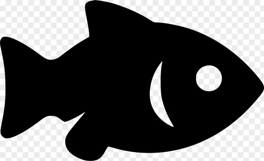 Grey Fish Icon Whiskers Clip Art PNG