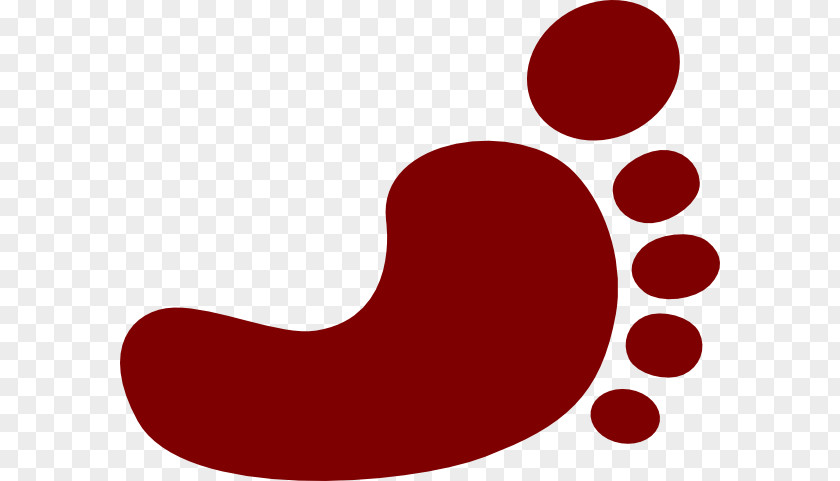 Kidney Cliparts Transplantation Foot Clip Art PNG