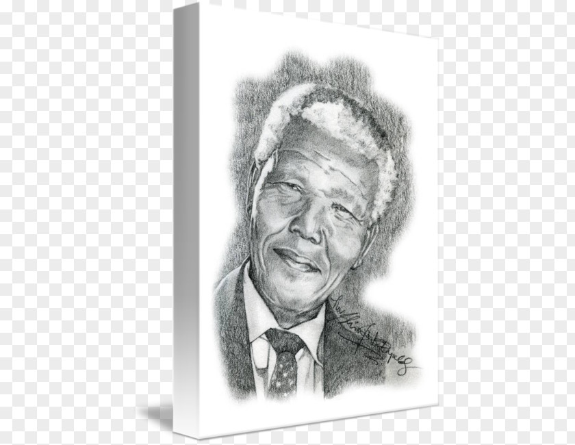 Nelson Mandela Figure Drawing Art Portrait Sketch PNG