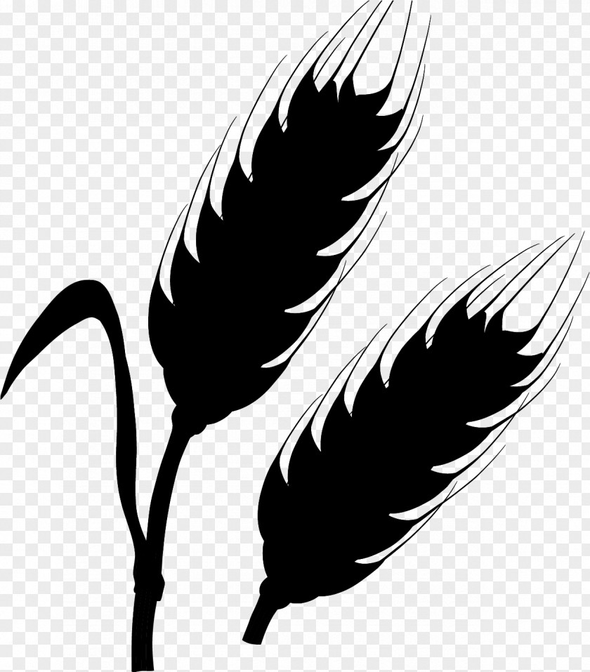Writing Implement Blackandwhite Leaf Silhouette PNG