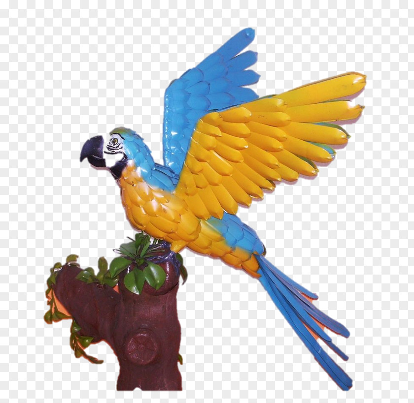 Blue-and-yellow Macaw Parakeet Feather Pet PNG