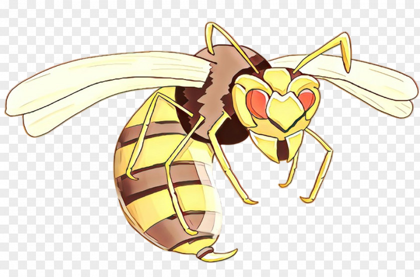 Carpenter Bee Pollinator Cartoon PNG