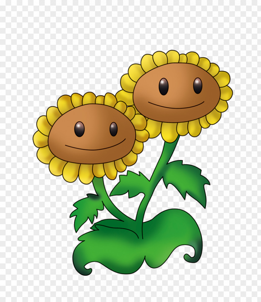 Sunflower Plants Vs. Zombies 2: It's About Time Common PNG