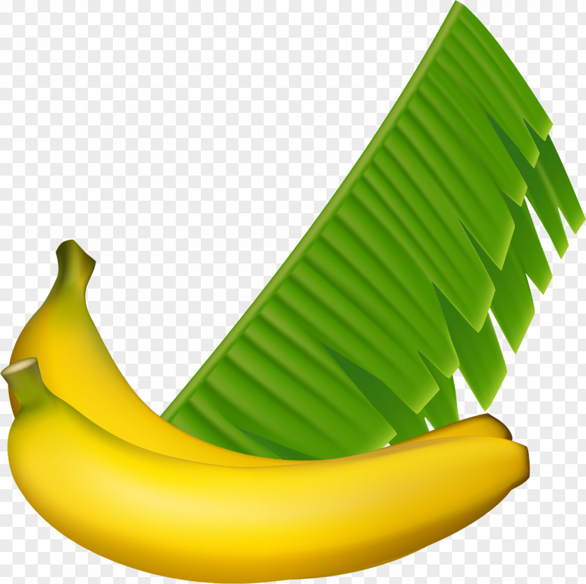 Banana Leaves Vector Graphics Design Fruit Image PNG