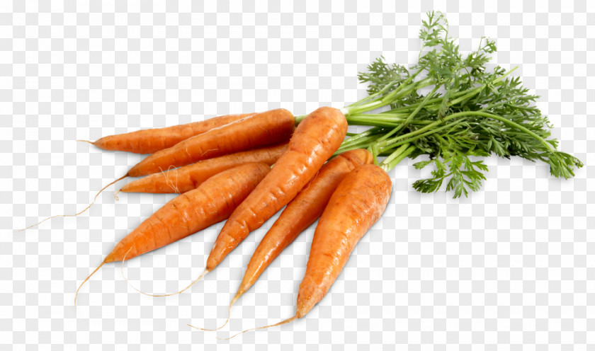 Carrot Baby Food Eating Vitamin A PNG
