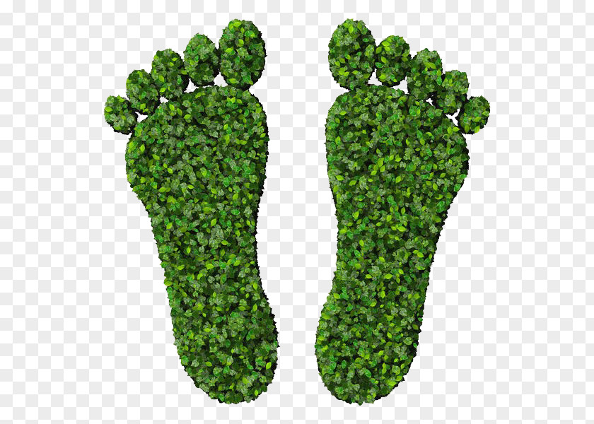 Footprints Footprint Euclidean Vector Green Stock Photography PNG