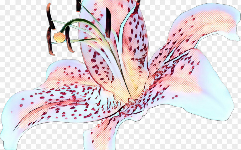 Lily Family Flower Tiger Pink Plant PNG