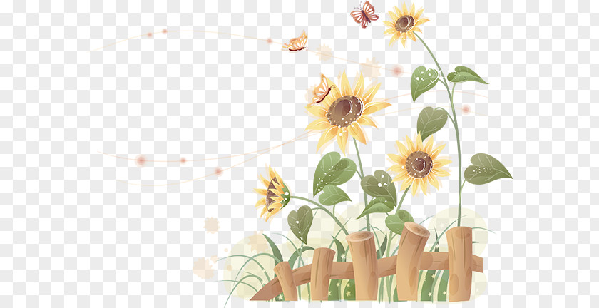 Flower Common Sunflower Petal Clip Art PNG