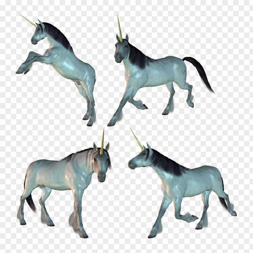 Unicorns Horse Unicorn Horn Clip Art PNG
