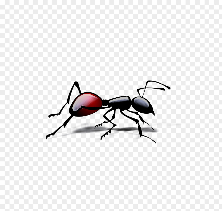 Weevil Insects Fly Stx Eu.tm Energy Nr Dl Meter PNG