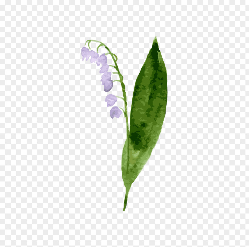 Bellflower Picture Clip Art PNG