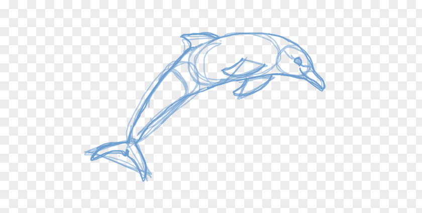 Dolphin Porpoise Drawing Sketch PNG