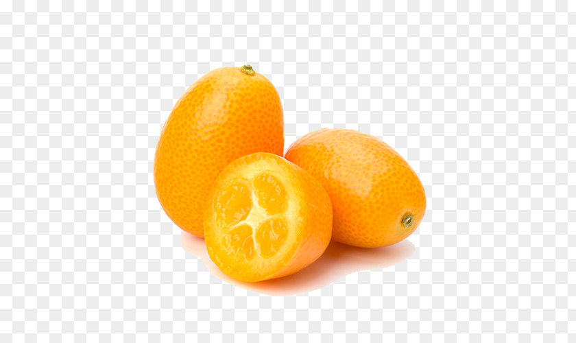 Orange Agrojete SL Kumquat Fruit Food PNG